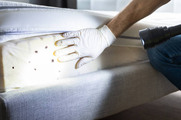Best Commercial Pest Control Services  in Greene, IA
